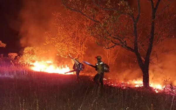 Corpo de Bombeiros do Tocantins se destaca em 2024 com ações humanitárias, combate a incêndios e investimentos estruturais