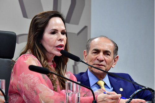 Professora Dorinha é eleita presidente da Comissão de Desenvolvimento Regional e Turismo no Senado