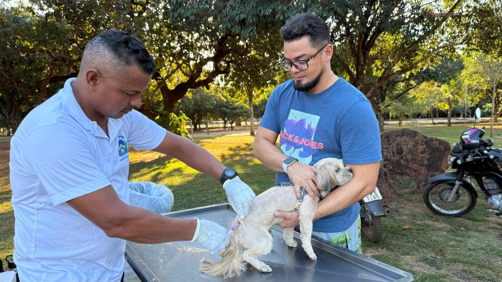 Setor Santa Fé II e Taquaruçu terão pontos de vacinação antirrábica