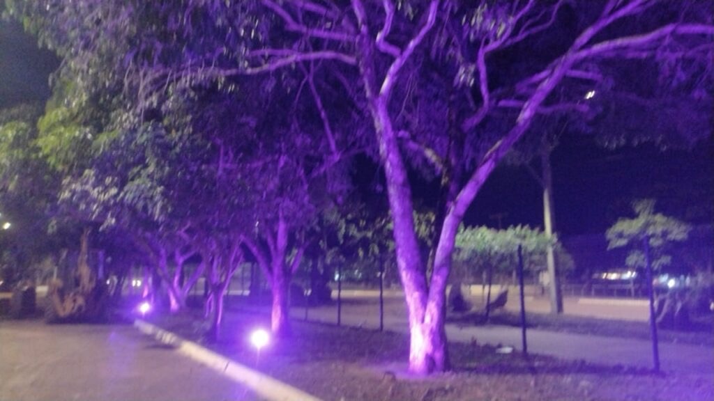 Prédios públicos da Capital recebem iluminação especial em apoio à campanha do mês de conscientização do lipedema