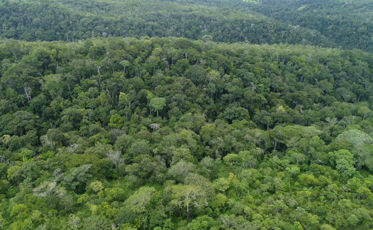 Governo do Tocantins registra queda de 20,7% no desmatamento no primeiro semestre de 2025
