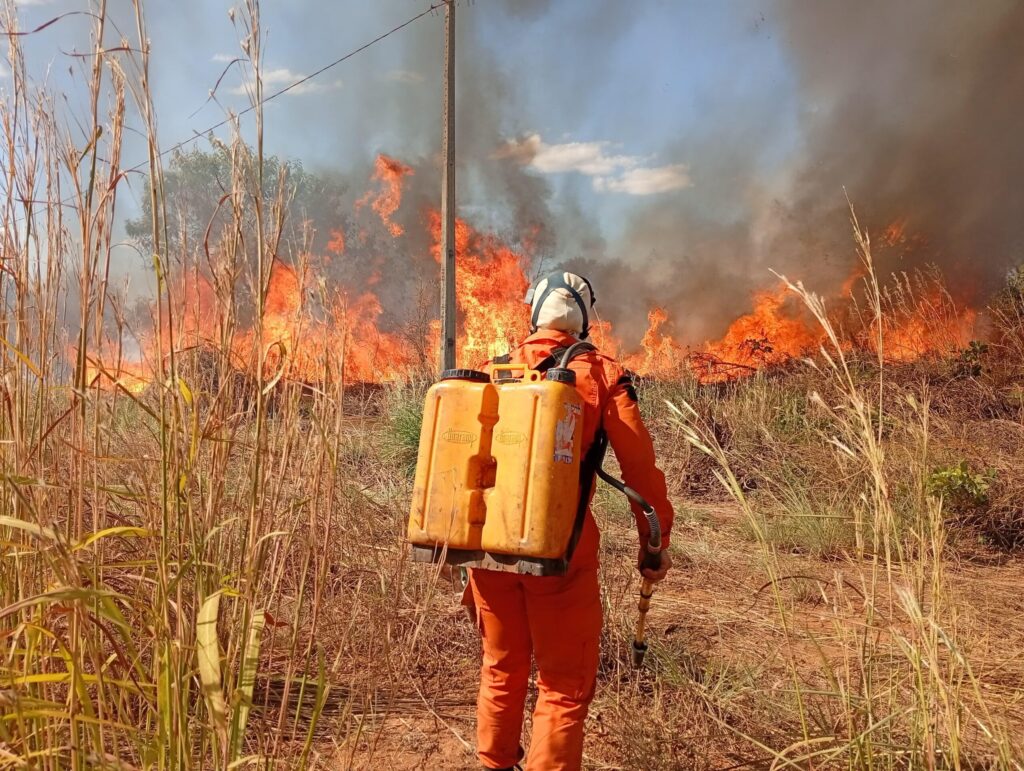 Mais de 100 focos de incêndio são combatidos pela Defesa Civil de Palmas em julho; Sul da cidade lidera ocorrências