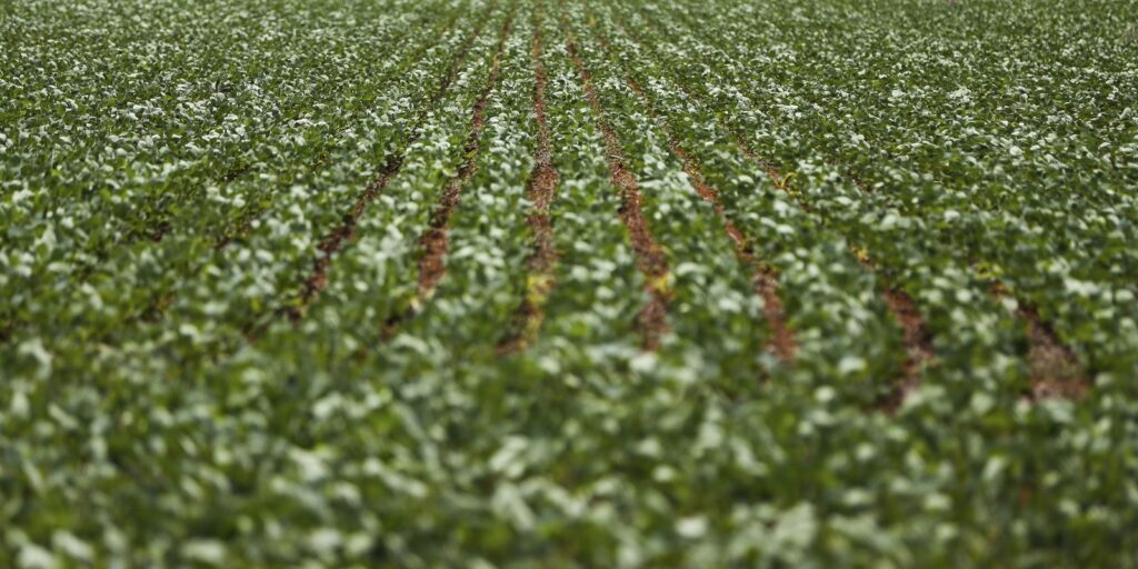 Reunião com bancada do agro termina sem acordo sobre dívidas rurais reuniao-com-bancada-do-agro-termina-sem-acordo-sobre-dividas-rurais